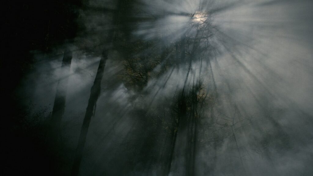 Instagram post from torn_studios.ltd. This post is in position 8.